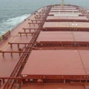 marinebulk 1